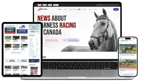 SC case study img