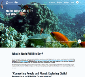 Comprehensive Website Redesign for WWD (United Nations)